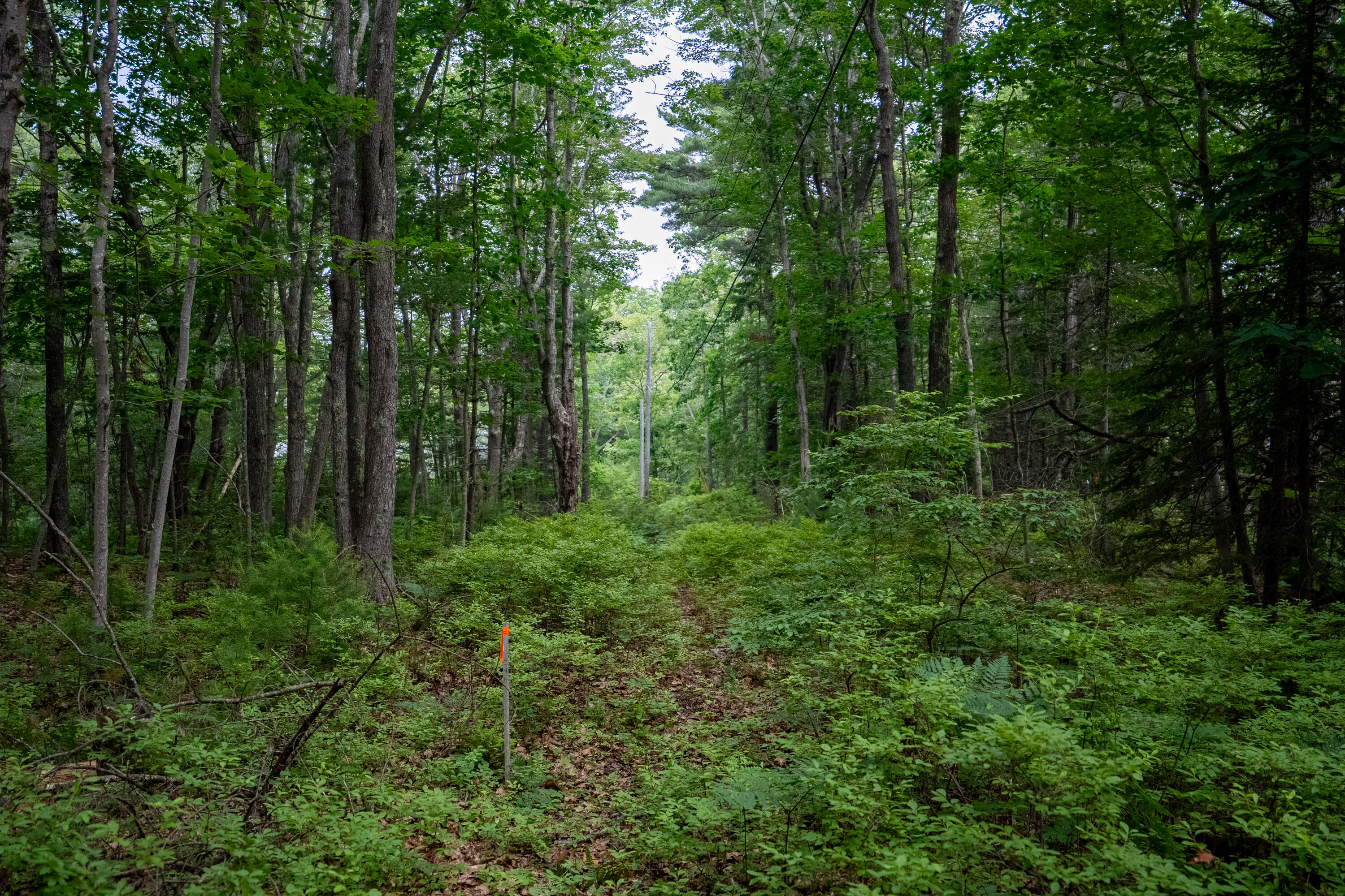 0 Wildes District Road Kennebunkport, ME 04046 - Photo 6 of 11 13_0 Wildes District Rd, Kennebunkport
