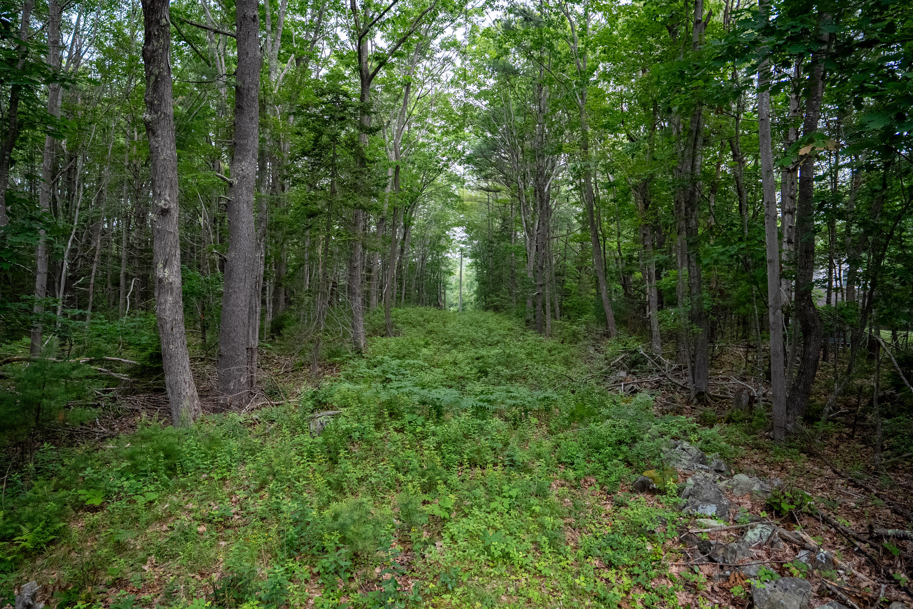 0 Wildes District Road Kennebunkport, ME 04046 - Photo 7 of 11 14_0 Wildes District Rd, Kennebunkport