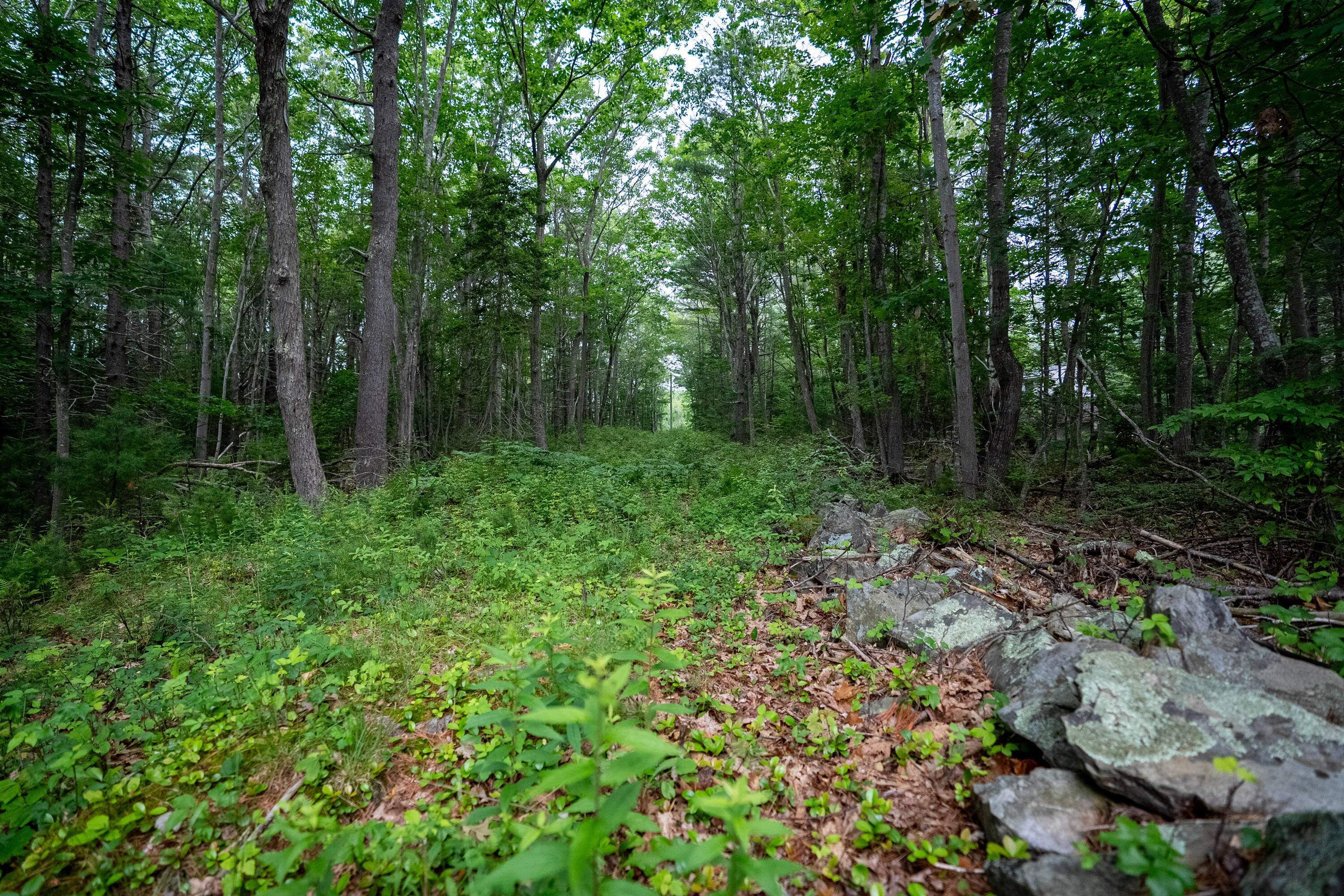 0 Wildes District Road Kennebunkport, ME 04046 - Photo 8 of 11 15_0 Wildes District Rd, Kennebunkport