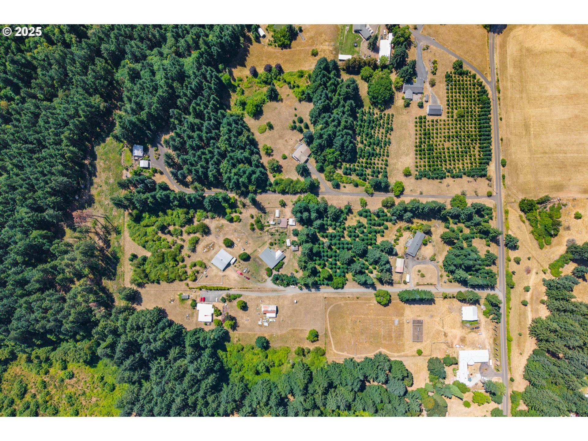 6534 Southwest Winters Road Cornelius, OR 97113 - Photo 34 of 47