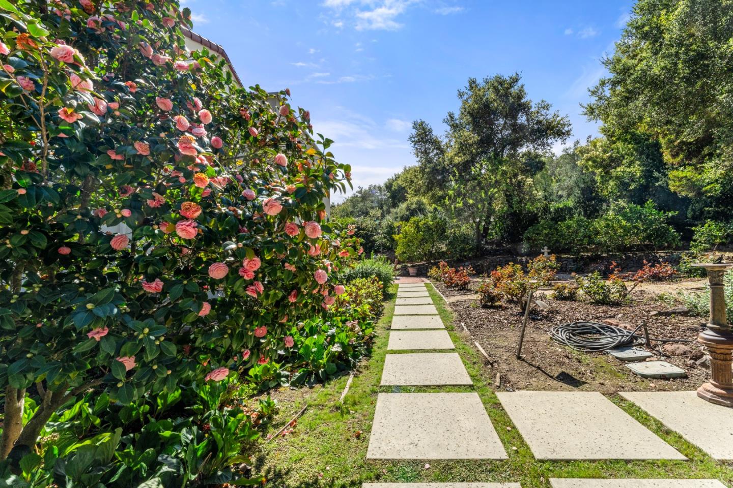 710 Frenchmans Road Stanford, CA 94305 - Photo 54 of 72 Gallery Image 54