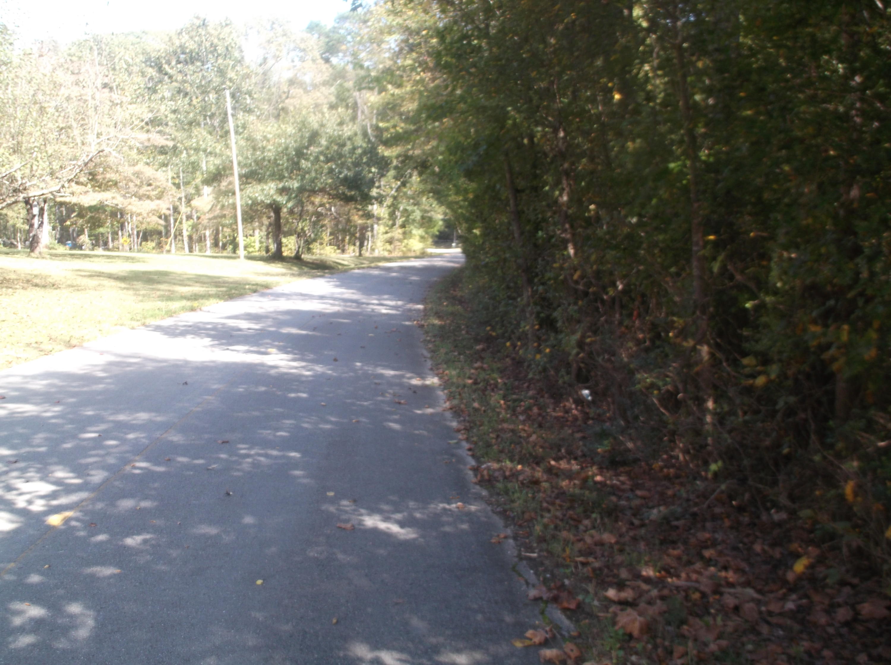 0 Crum Road Ringgold, GA 30736 - Photo 2 of 6 DSCF2140