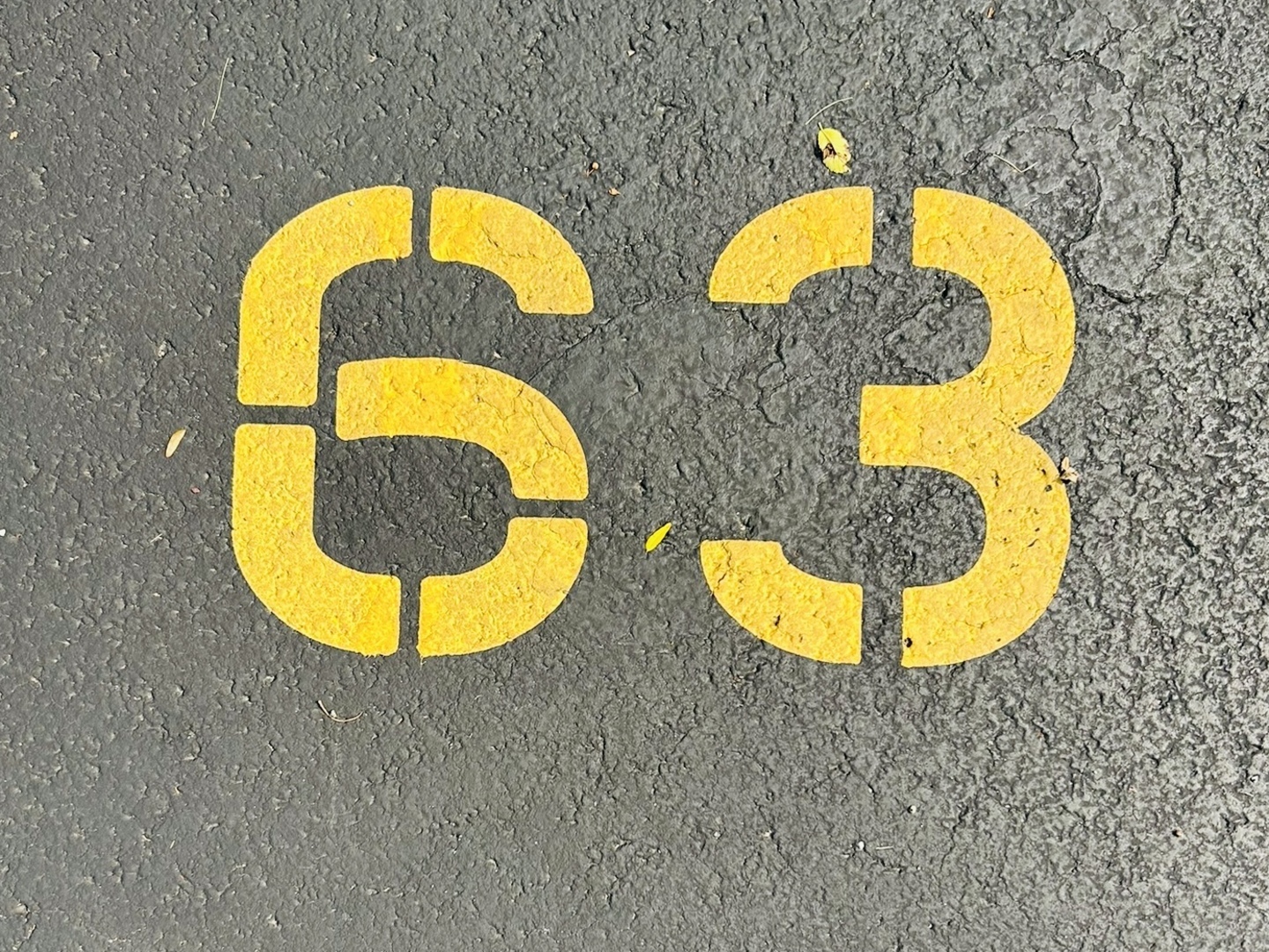 415 East Lincoln Street Mount Prospect, IL 60056 - Photo 4 of 10 a view of a swimming pool