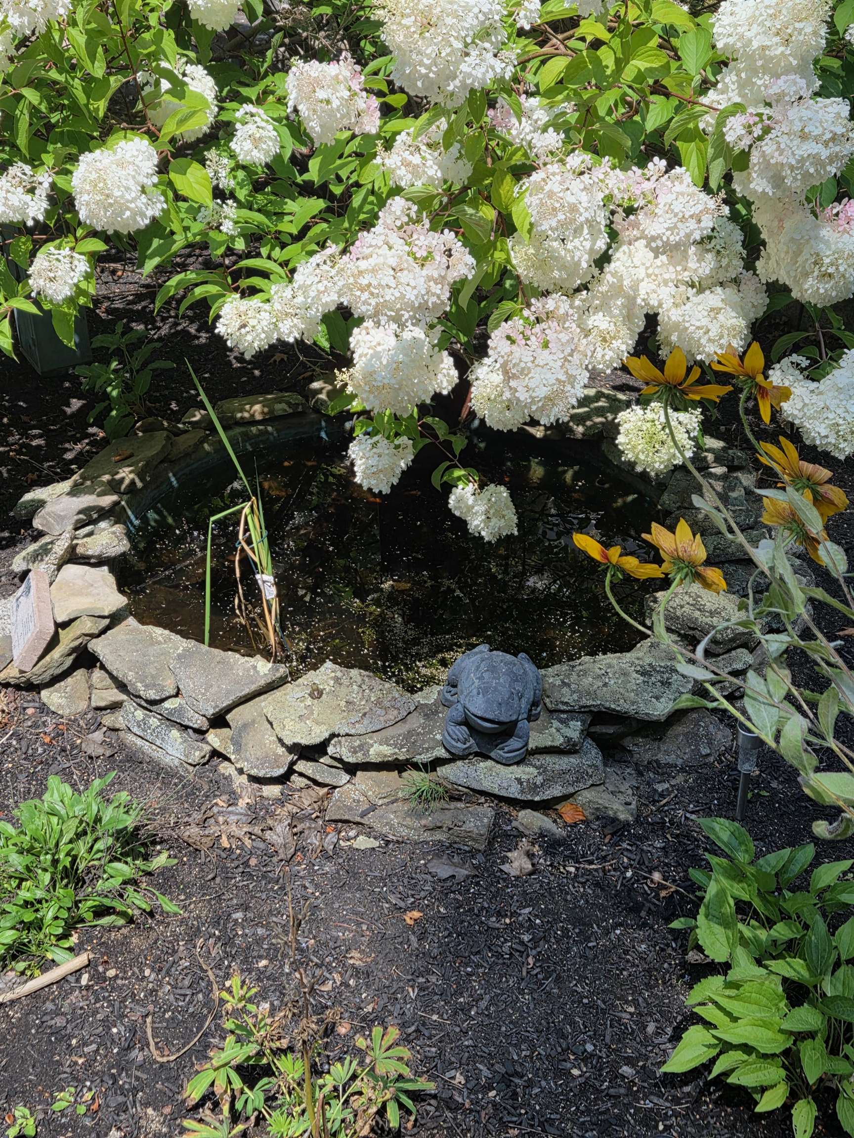 36 Pearson Road Alton, NH 03809 - Photo 47 of 49