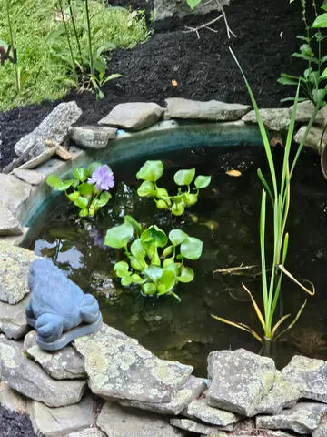 $525,000 | 36 Pearson Road, Alton, NH 03809