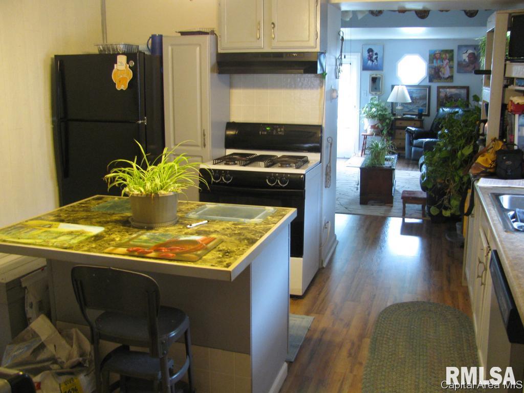 1132 West Elliott Avenue Springfield, IL 62702 - Photo 8 of 12 Gallery Image 8