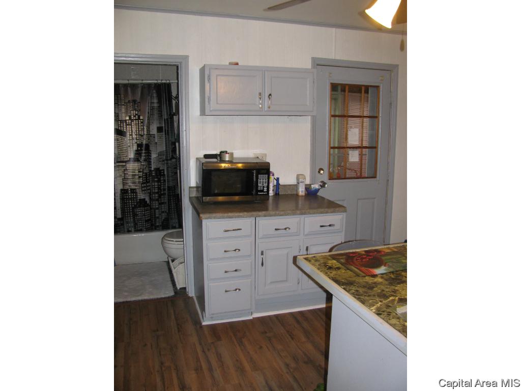 1132 West Elliott Avenue Springfield, IL 62702 - Photo 10 of 12 Gallery Image 10