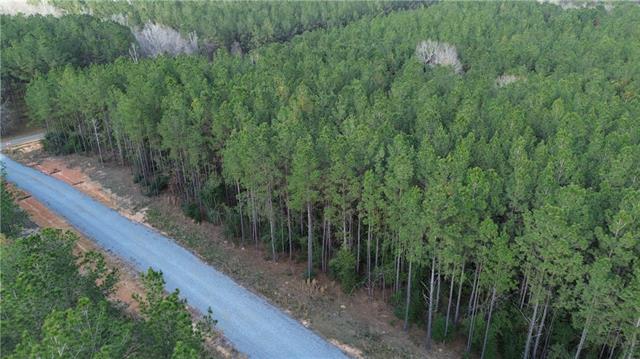 Lot 8 North Bethel Road Franklinton, LA 70438 - Photo 1 of 5