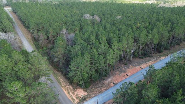 Lot 8 North Bethel Road Franklinton, LA 70438 - Photo 2 of 5