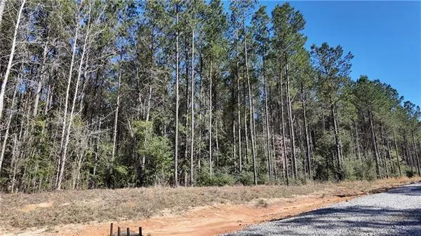 $50,000 | Lot 8 North Bethel Road, Franklinton, LA 70438