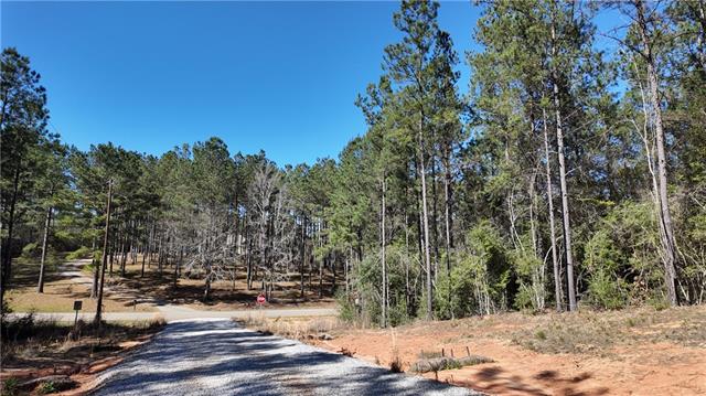 Lot 8 North Bethel Road Franklinton, LA 70438 - Photo 5 of 5