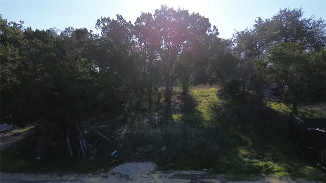 a view of a city from yard
