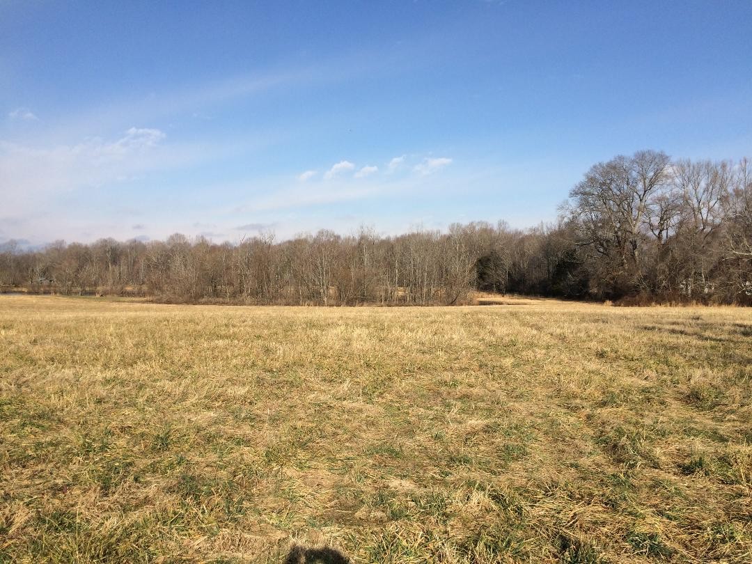 0 Porter Morris Road Chapmansboro, TN 37035 - Photo 2 of 6 Gallery Image 2