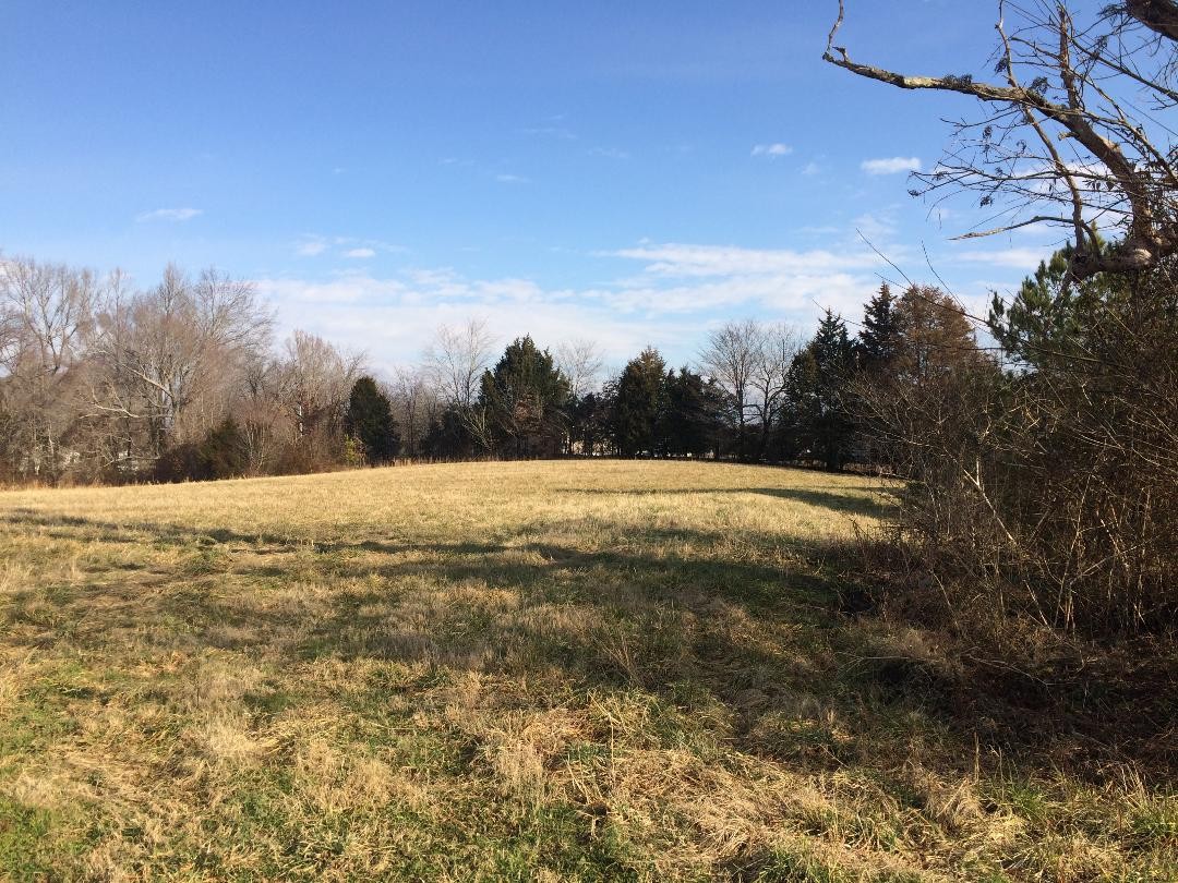 0 Porter Morris Road Chapmansboro, TN 37035 - Photo 3 of 6 Gallery Image 3