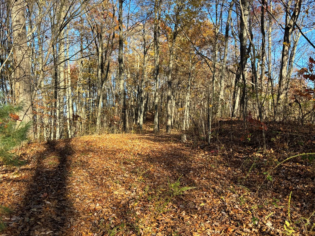 Lot#39 Falcon Stone Ridge Topton, NC 28781 - Photo 4 of 10
