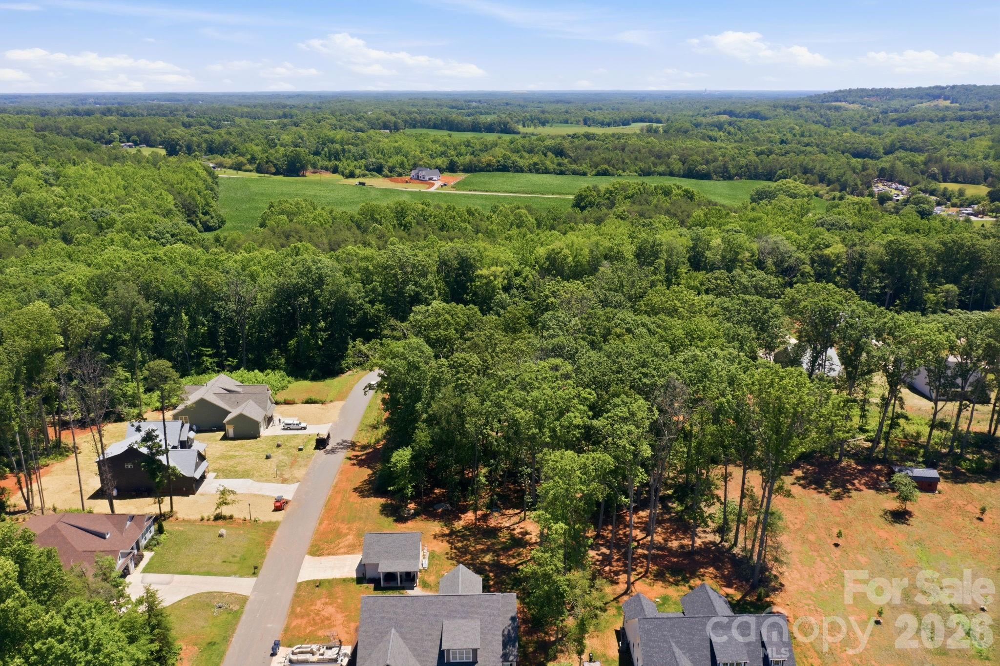3180 Timber Run Lane Maiden, NC 28650 - Photo 9 of 18