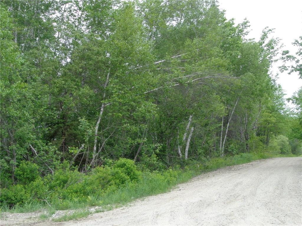 Lot 118 Rock Maple Road Harrington, ME 04643 - Photo 6 of 7 Photo