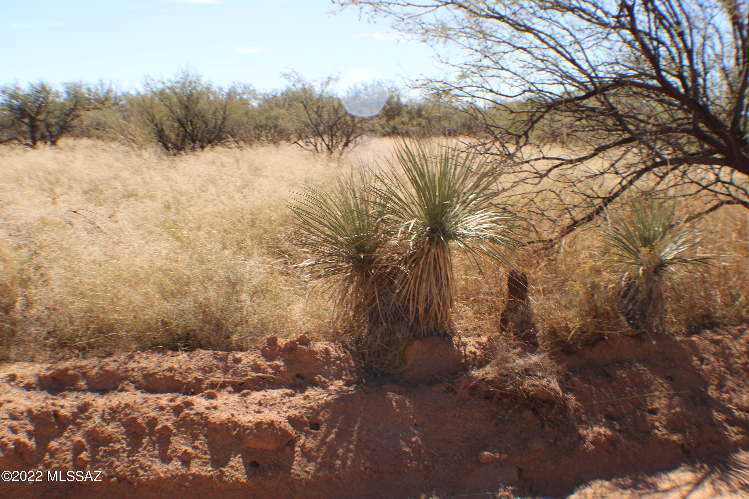 East De Vaca Circle St. David, AZ 85630 - Photo 6 of 20