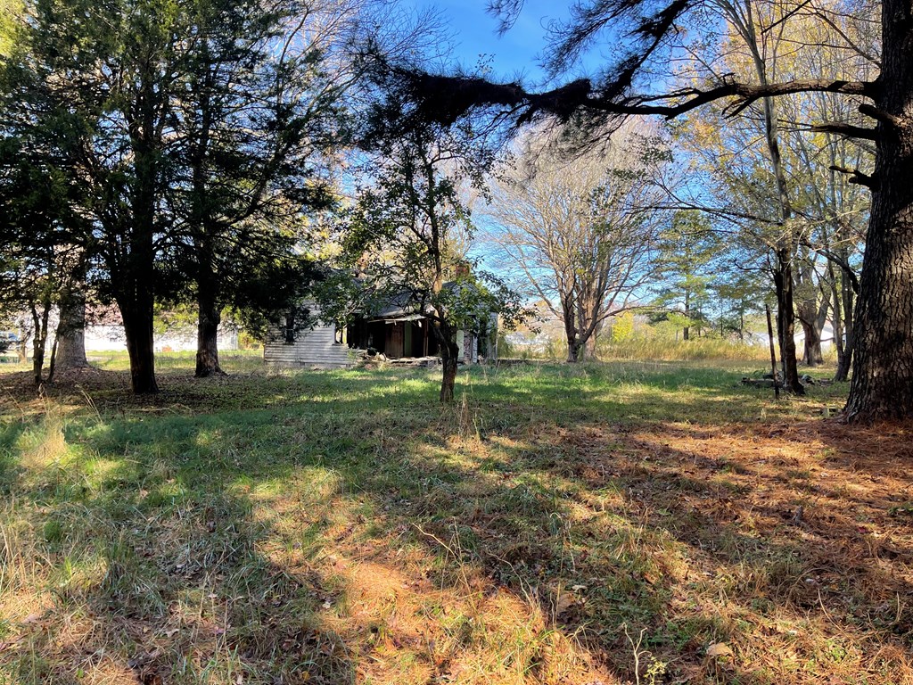 8-acres Redwood Road Onancock, VA 23417 - Photo 13 of 28