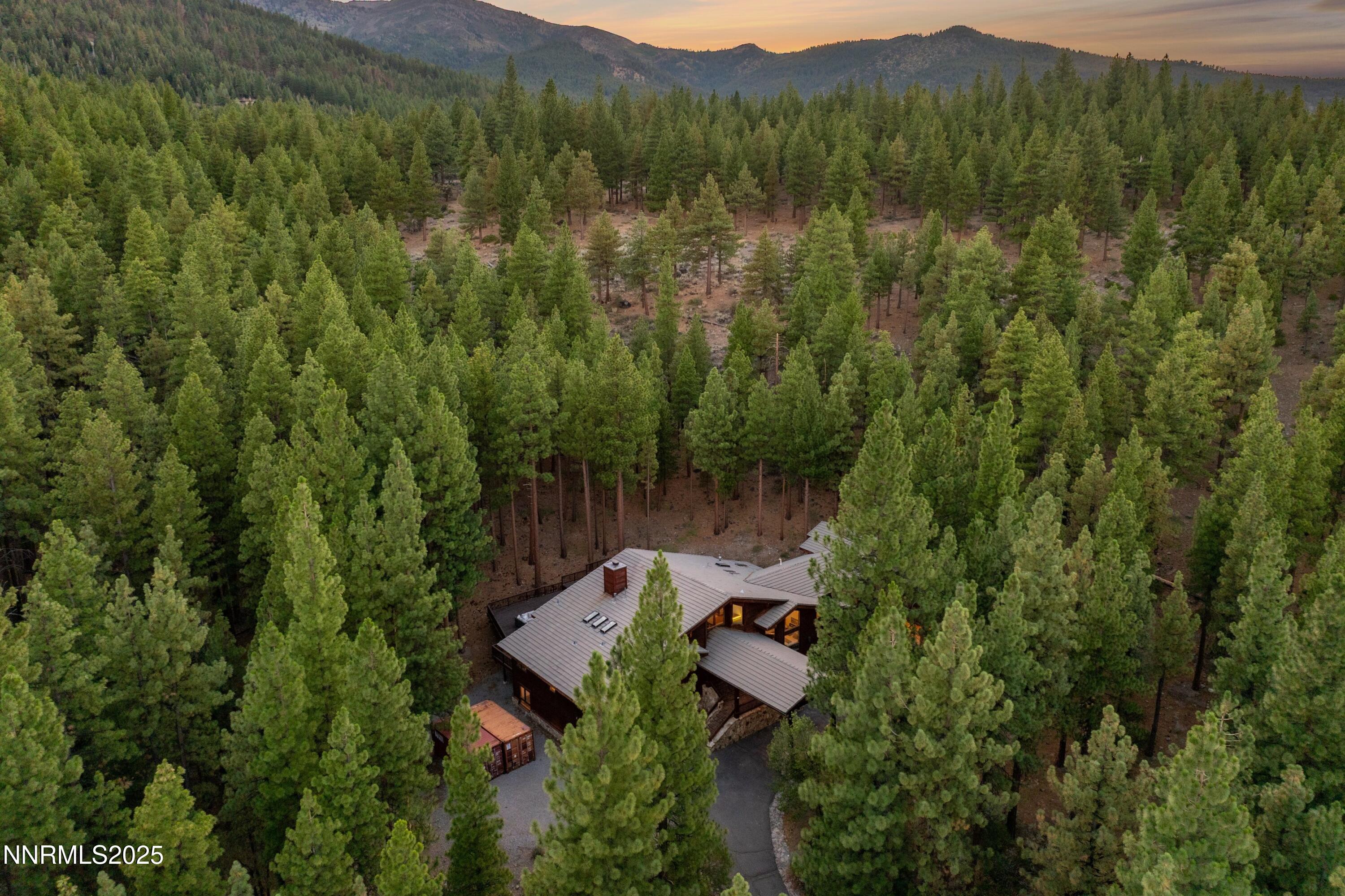 1745 Green Ash Drive Reno, NV 89511 - Photo 22 of 64 a view of a forest with a lake view
