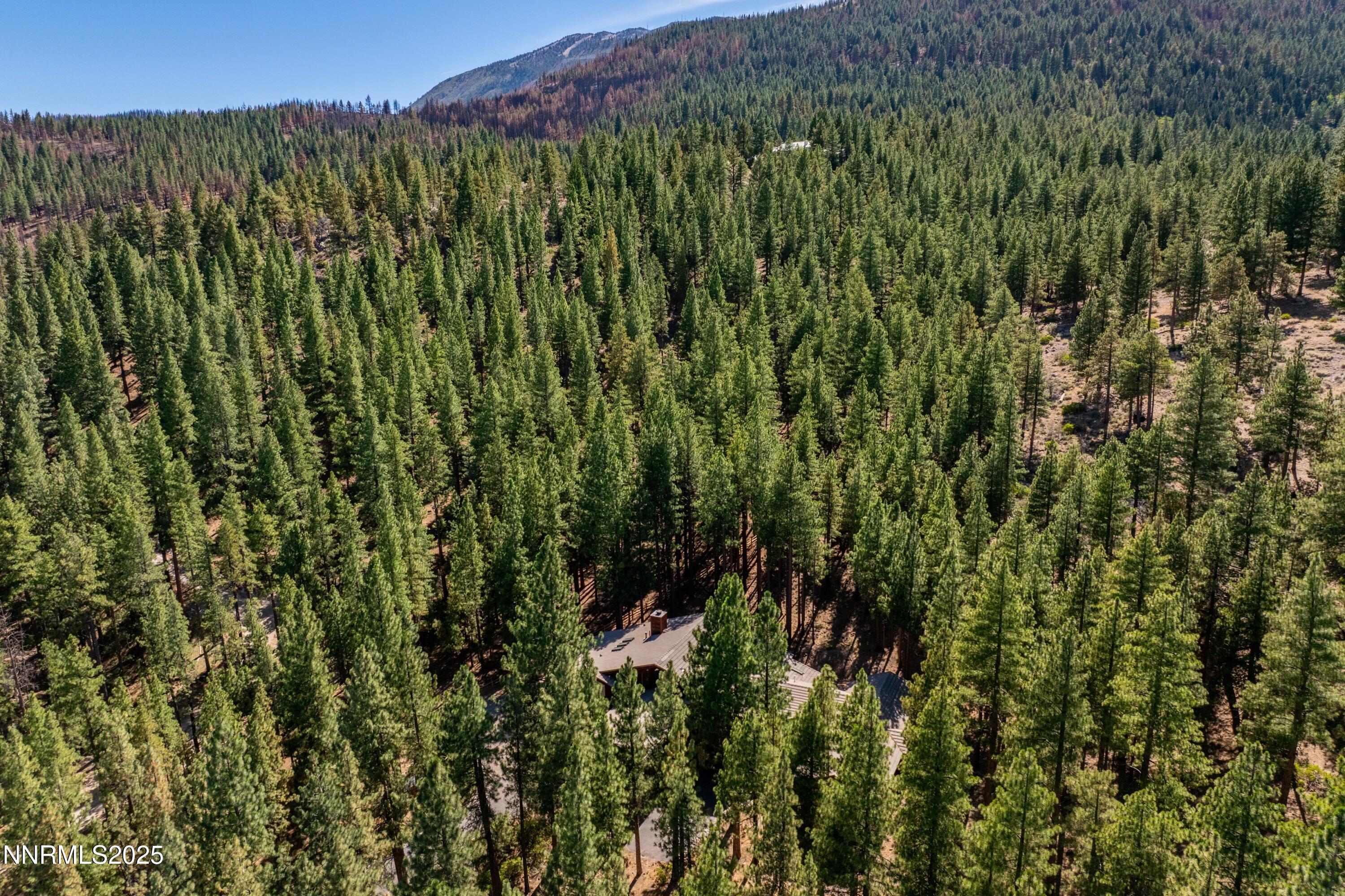 1745 Green Ash Drive Reno, NV 89511 - Photo 35 of 64 035_46-print-1745_green_ash_rd_drone-3_6