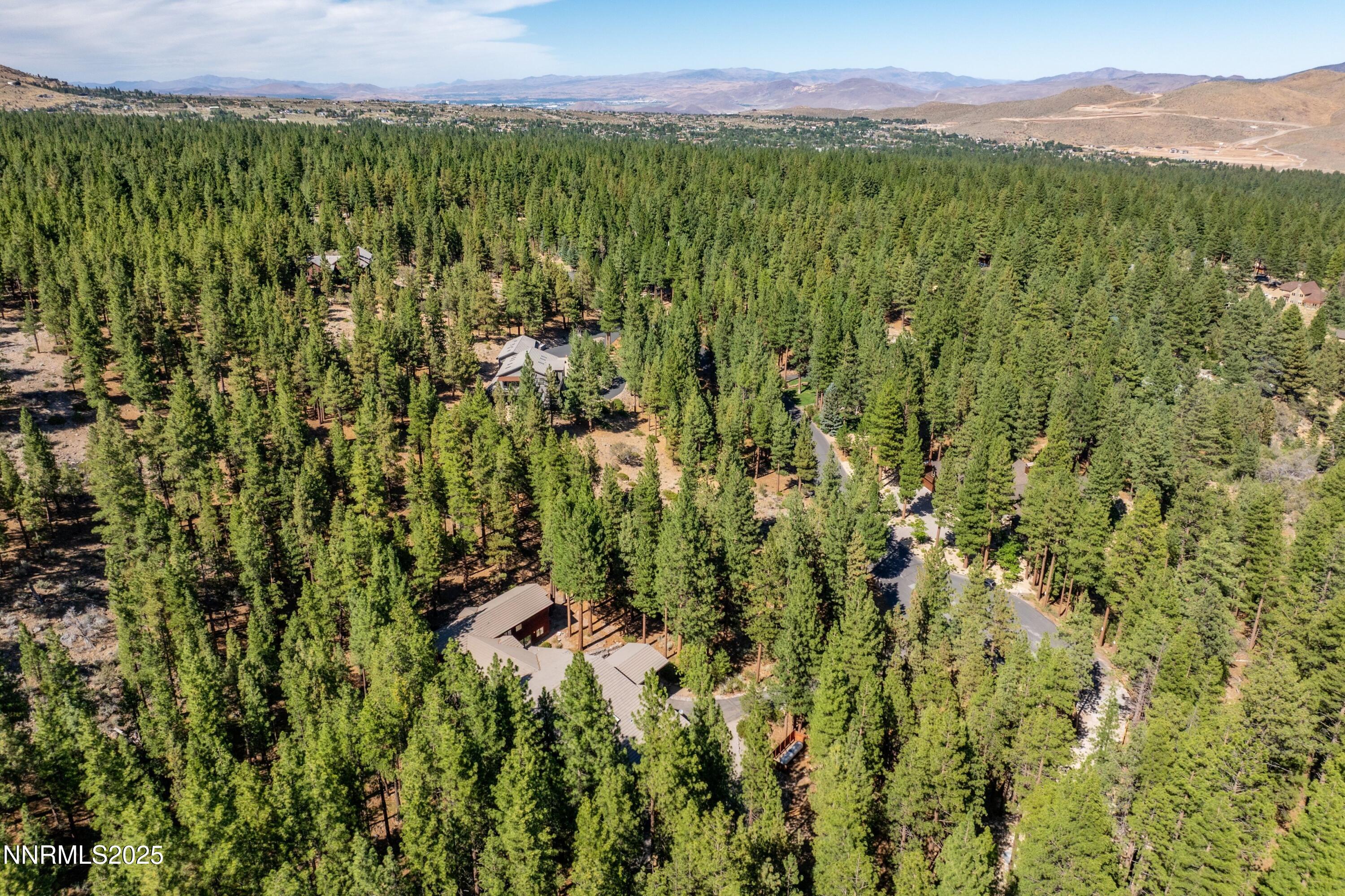 1745 Green Ash Drive Reno, NV 89511 - Photo 40 of 64 a view of a lush green field with a mountain in the background