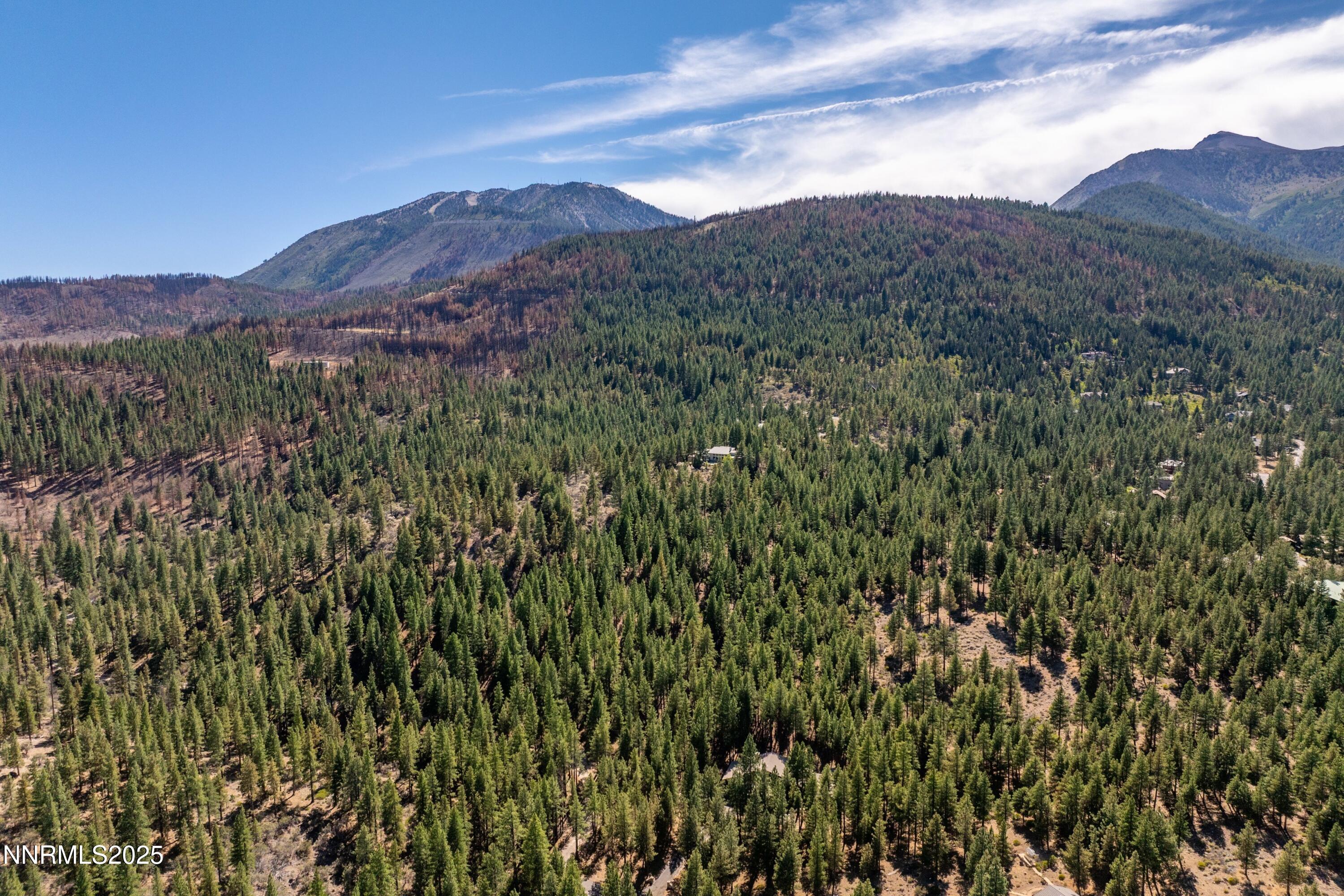 1745 Green Ash Drive Reno, NV 89511 - Photo 47 of 64 a view of a lush green hillside and a building