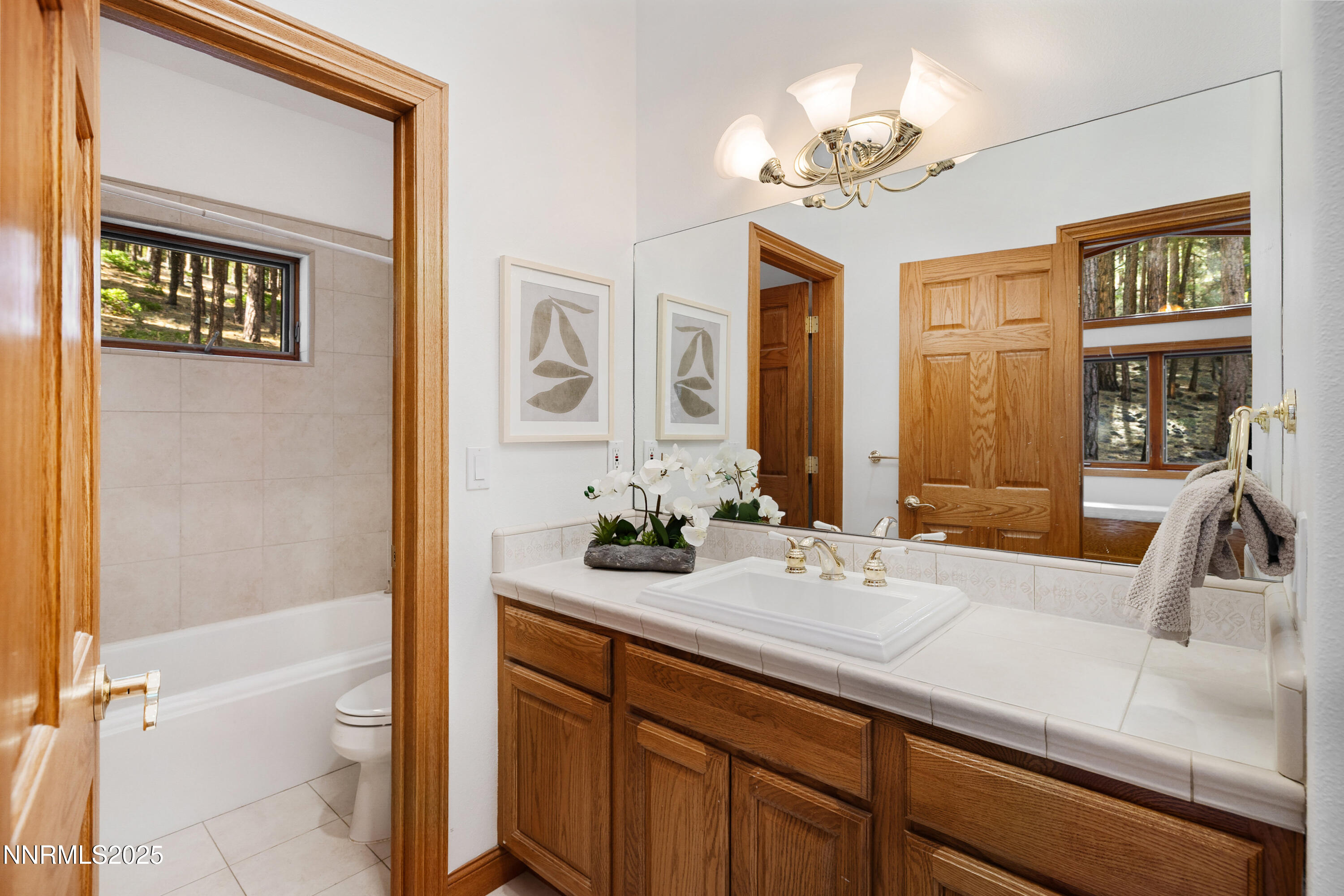 1745 Green Ash Drive Reno, NV 89511 - Photo 50 of 64 a bathroom with a sink a large mirror and a bathtub