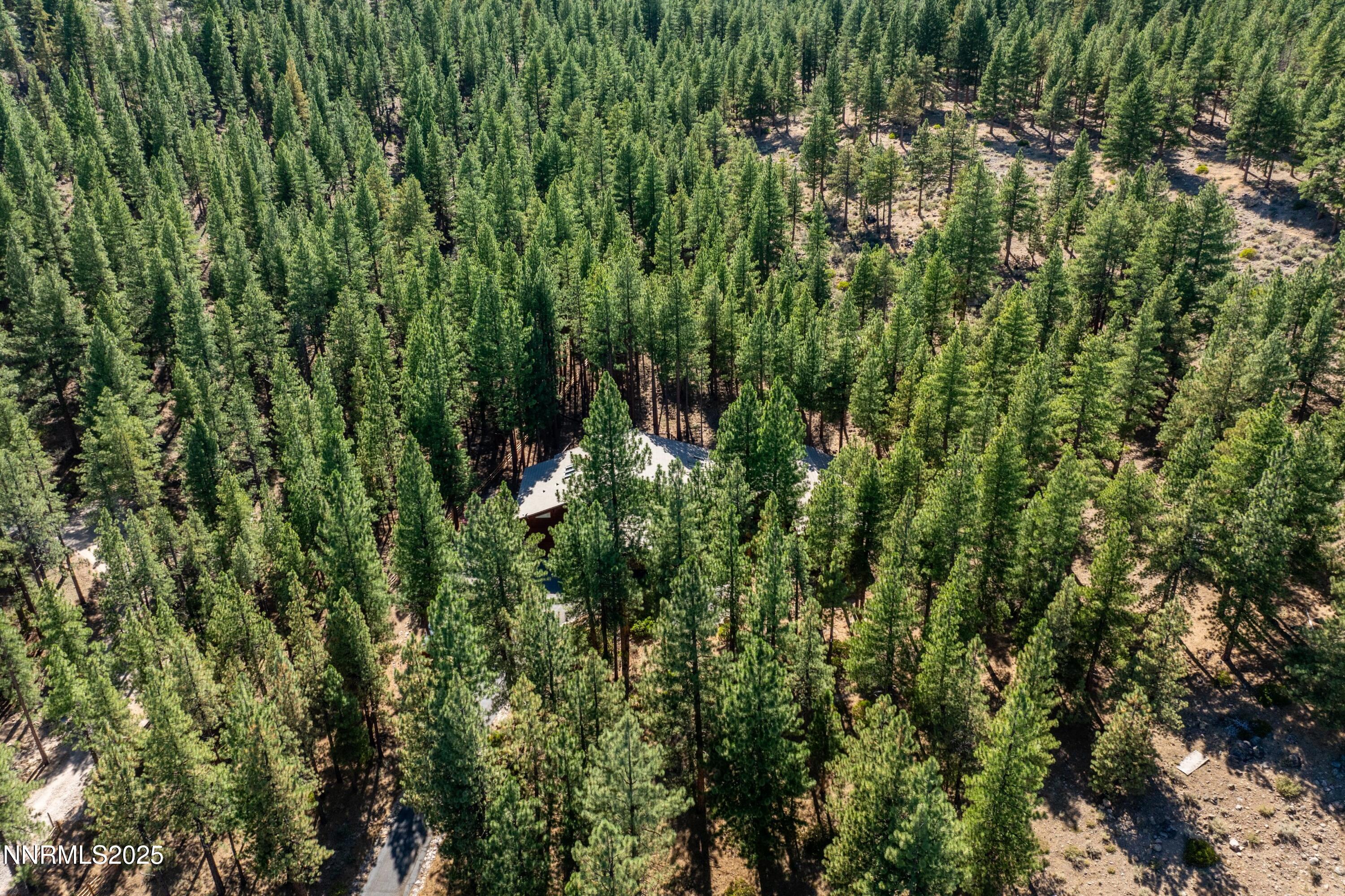 1745 Green Ash Drive Reno, NV 89511 - Photo 52 of 64 a view of a lush green forest