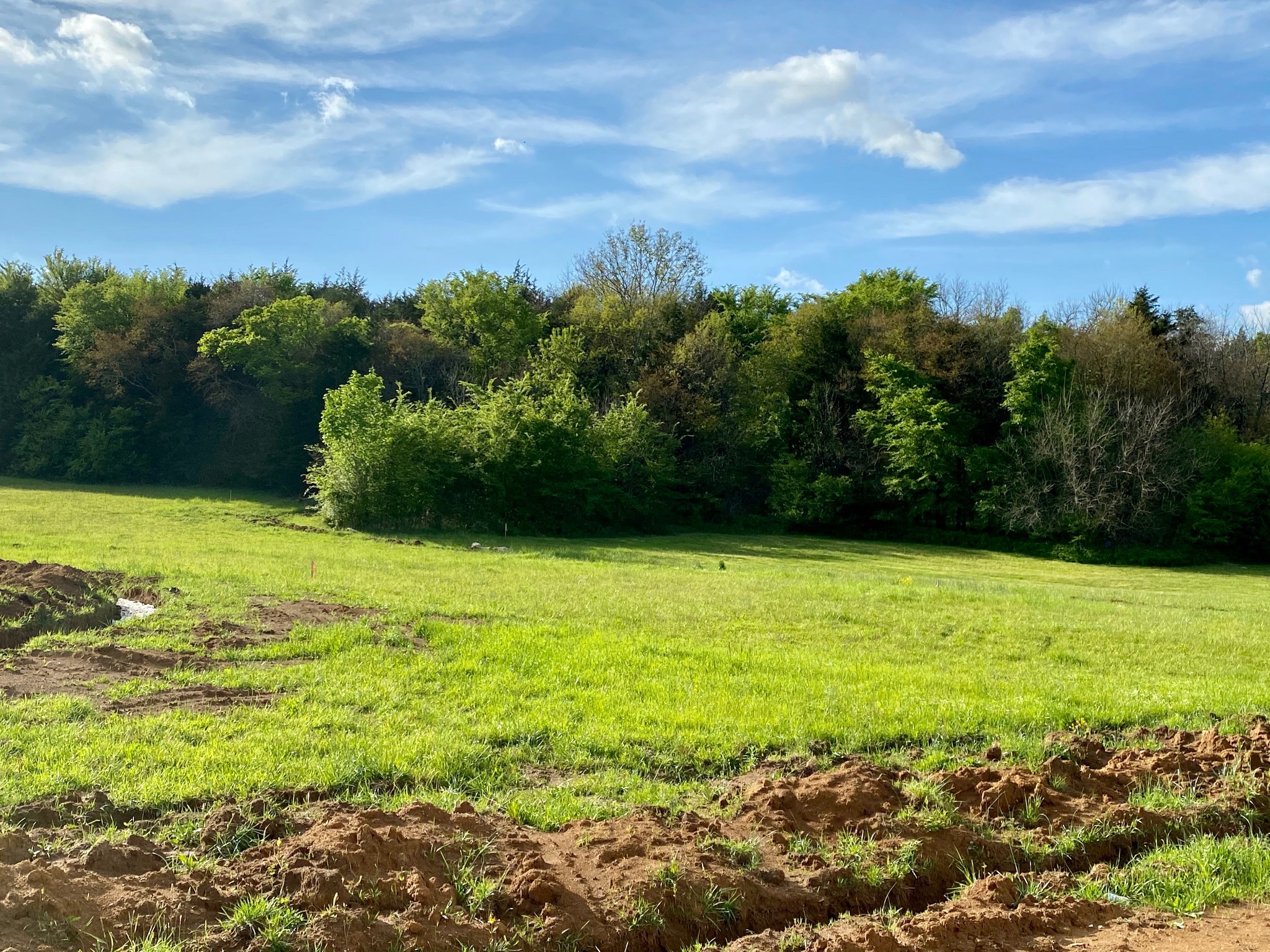 160 Phillips Road Lebanon, TN 37087 - Photo 14 of 15 Gallery Image 14