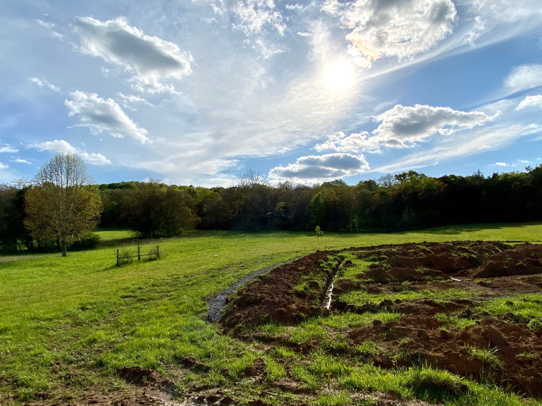160 Phillips Road Lebanon, TN 37087 - Photo 15 of 15 Gallery Image 15