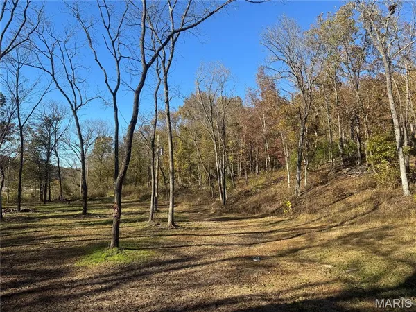 $350,000 | 0 Hank Lane, Dixon, MO 65459
