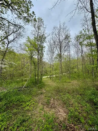 $350,000 | 0 Hank Lane, Dixon, MO 65459