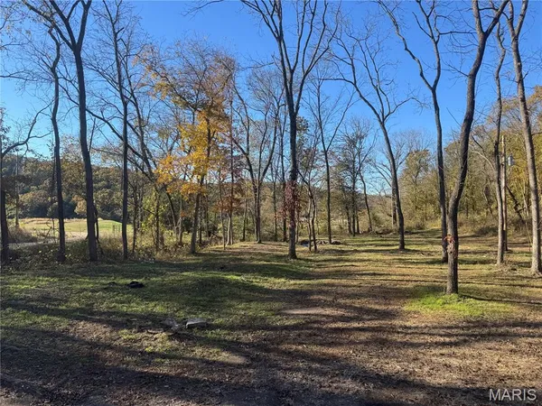 $350,000 | 0 Hank Lane, Dixon, MO 65459