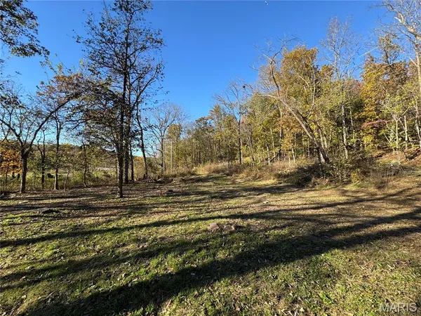 $350,000 | 0 Hank Lane, Dixon, MO 65459