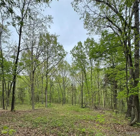$350,000 | 0 Hank Lane, Dixon, MO 65459