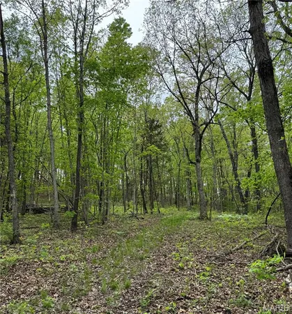 $350,000 | 0 Hank Lane, Dixon, MO 65459