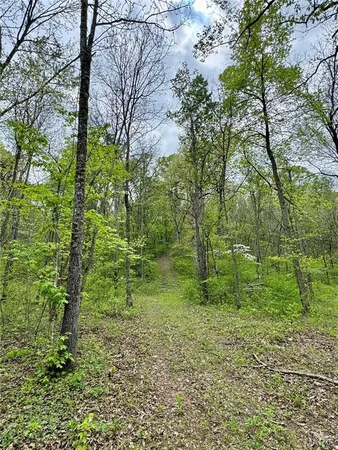 $350,000 | 0 Hank Lane, Dixon, MO 65459