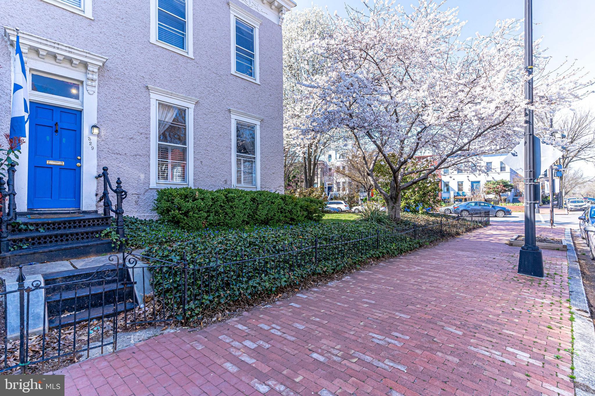 329 11th Street Southeast Washington, DC 20003 - Photo 39 of 49