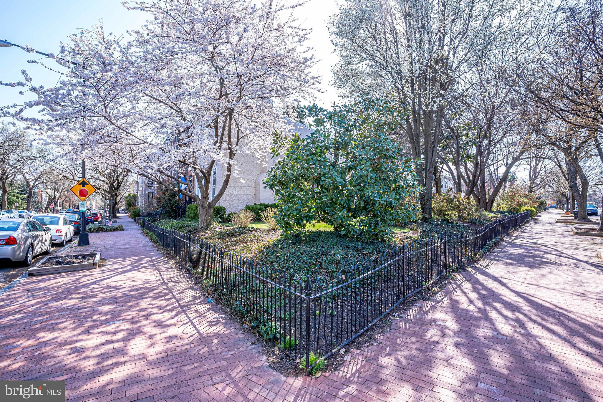 329 11th Street Southeast Washington, DC 20003 - Photo 40 of 49