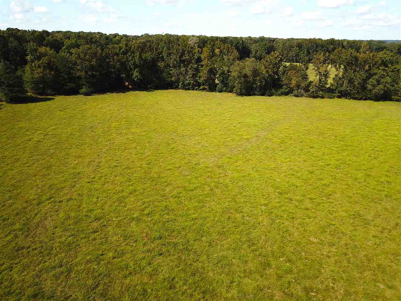 605 Lagrange Road Somerville, TN 38068 - Photo 5 of 8 Gallery Image 5