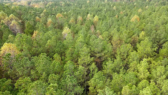 $79,900 | 0 Corean Lane, Morris Chapel, TN 38361