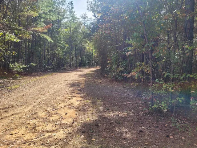a view of a yard with trees in the background