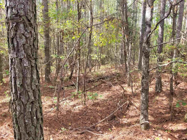 a backyard of a house with a yard and outdoor seating