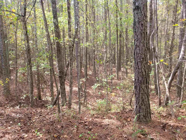 a view of a lush green field