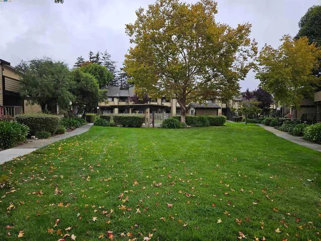 a view of a house with a big yard potted plants and large trees