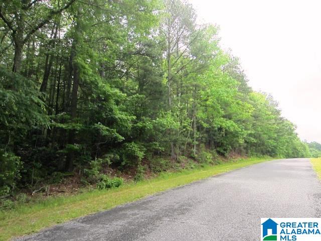 40-acres Oaks Chapel Road, Unit 40 ACRES Goodwater, AL 35072 - Photo 2 of 8