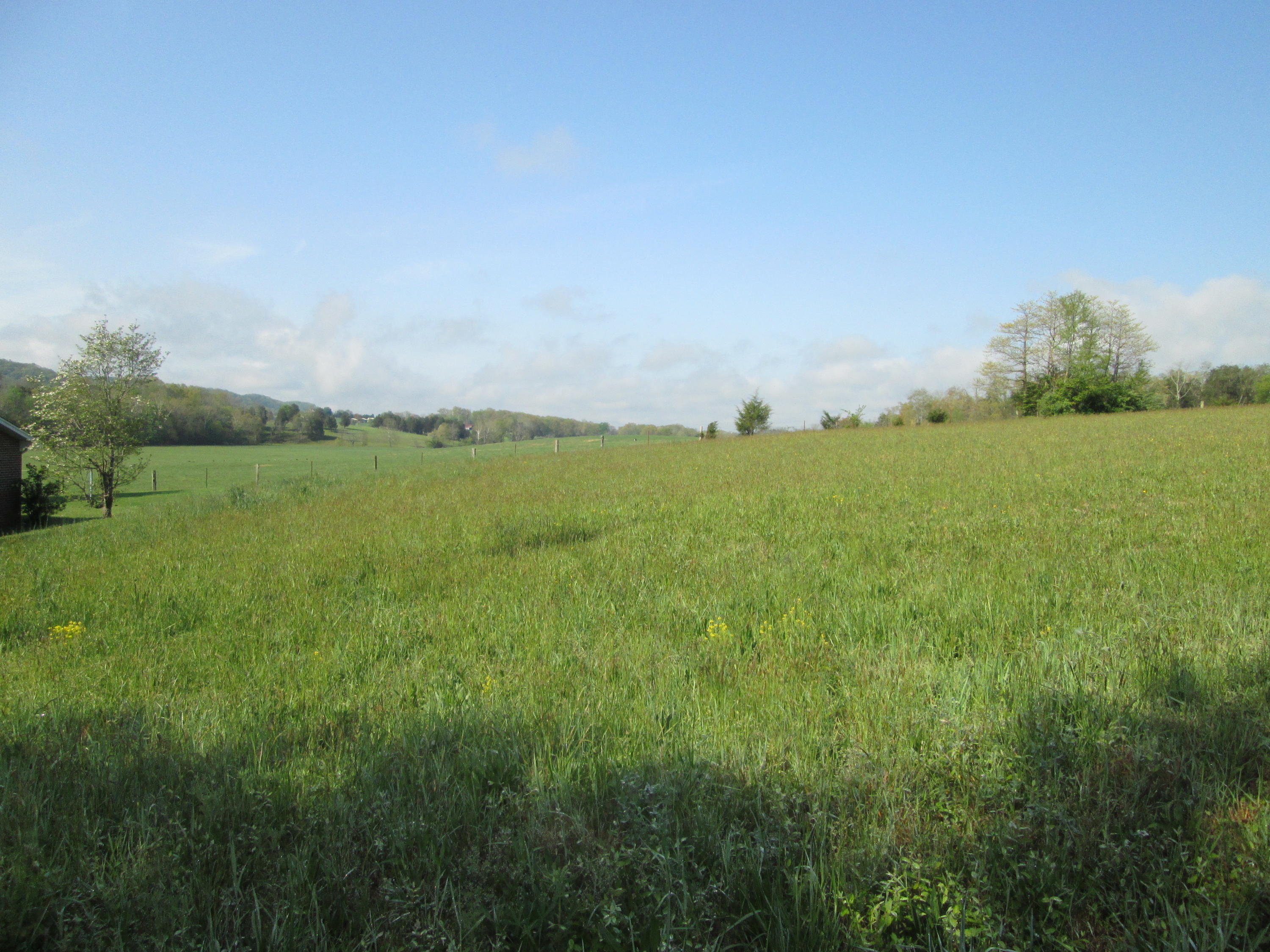 Big Valley Road Andersonville, TN 37705 - Photo 1 of 1 IMG_1045