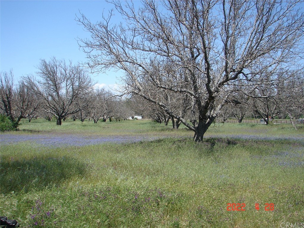 17360 Morgan Valley Road Lower Lake, CA 95457 - Photo 1 of 1 Gallery Image 1