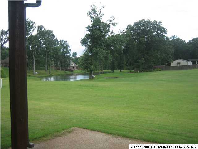 1921 Radley Road Nesbit, MS 38651 - Photo 18 of 18 Additional Photo
